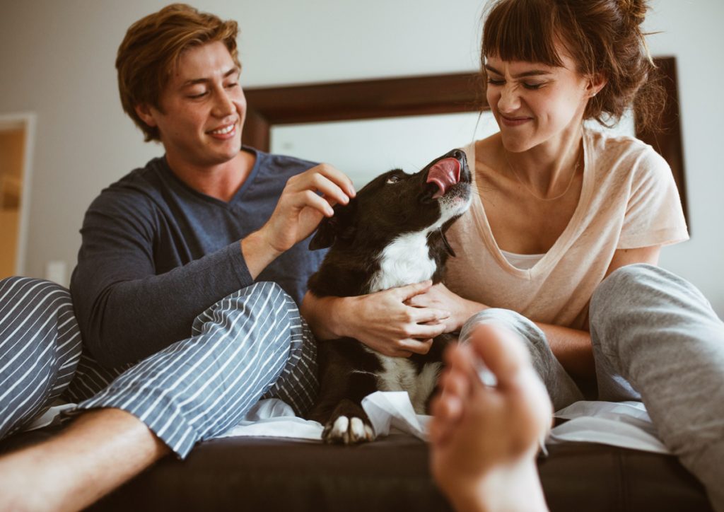 Happy dog with owners