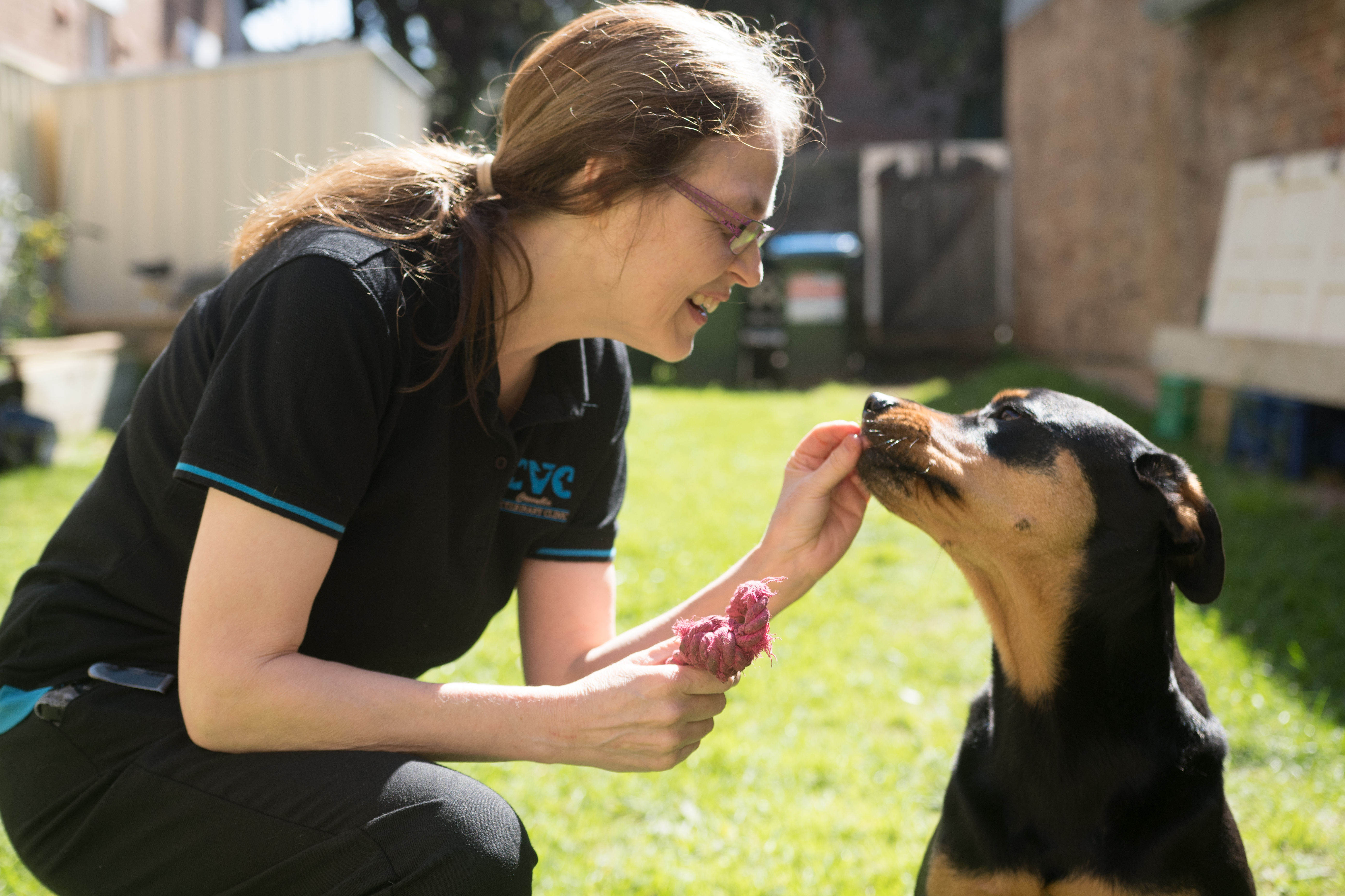Dr bell veterinary sales clinic