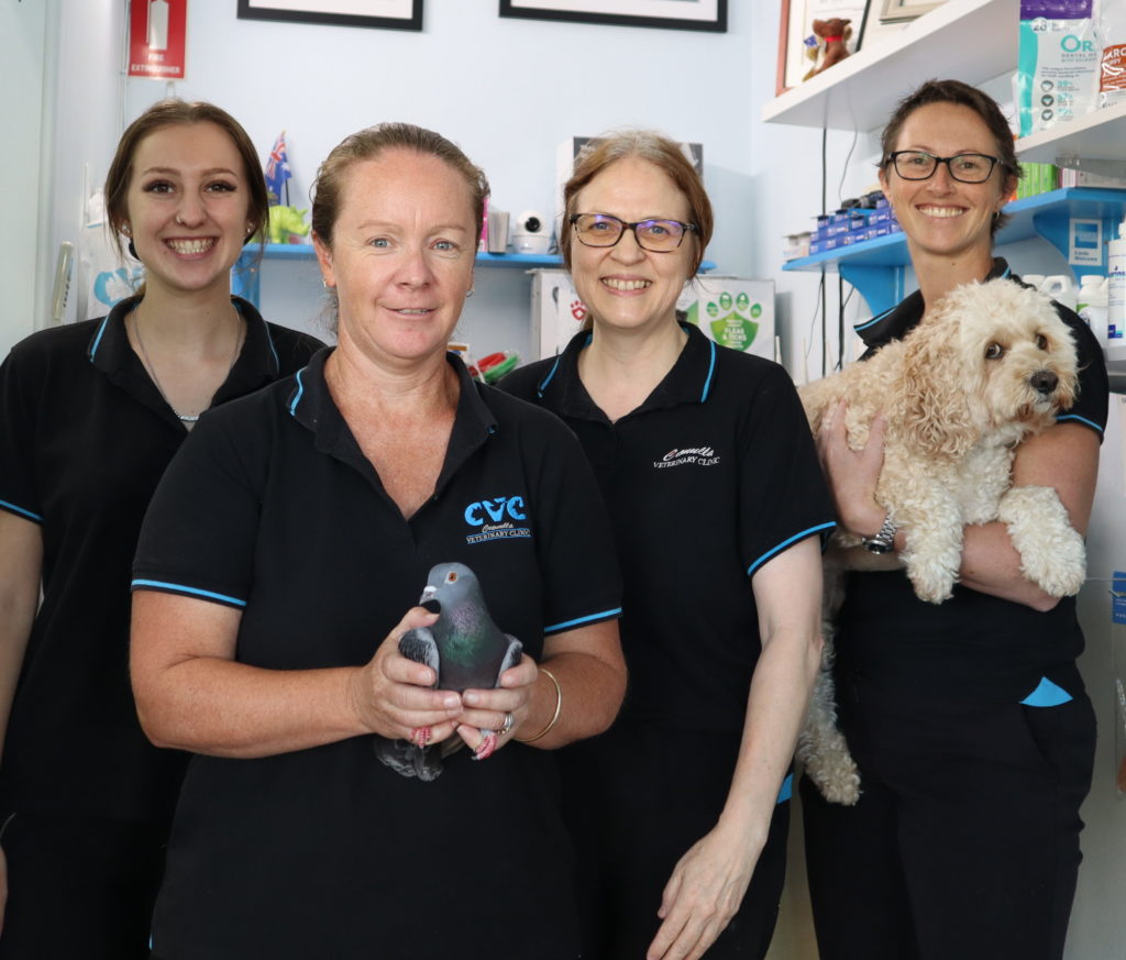 home visit vet sutherland shire